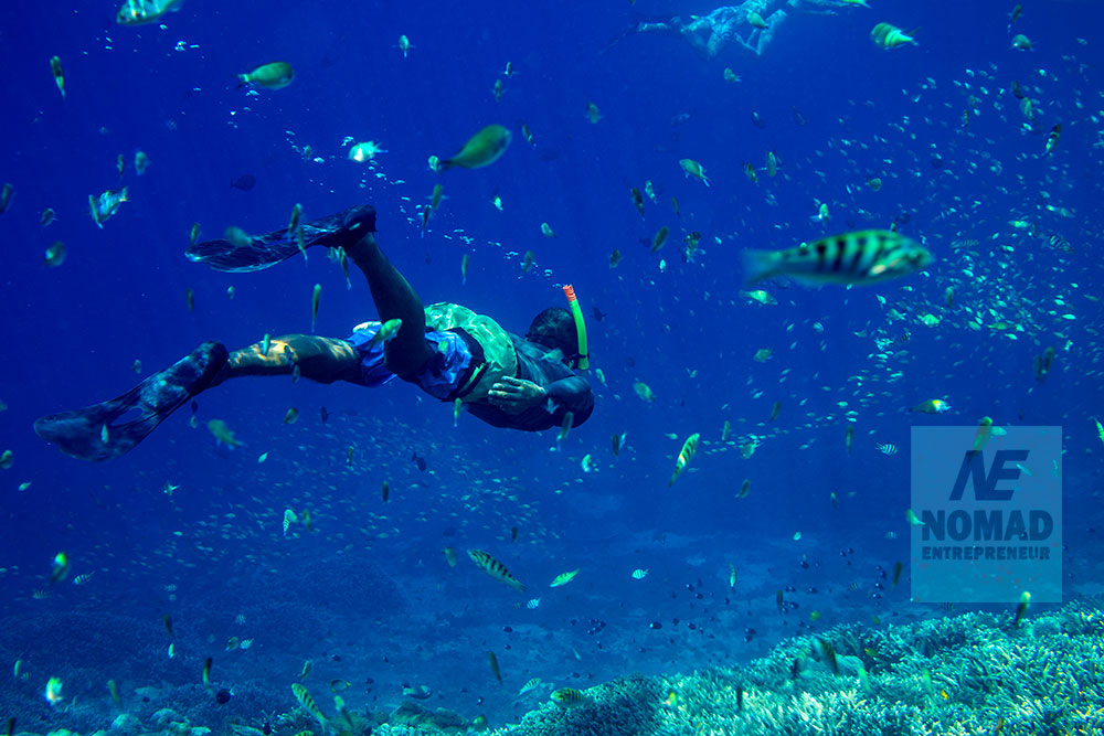 snorkeling in the tropical sharm al sheikh